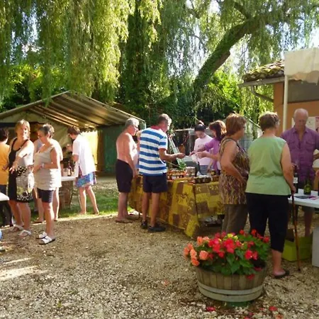 キャンプ場 Sur Pilotis Avec Terrasse Pour 2 Personnes - Api-1-52-293 *