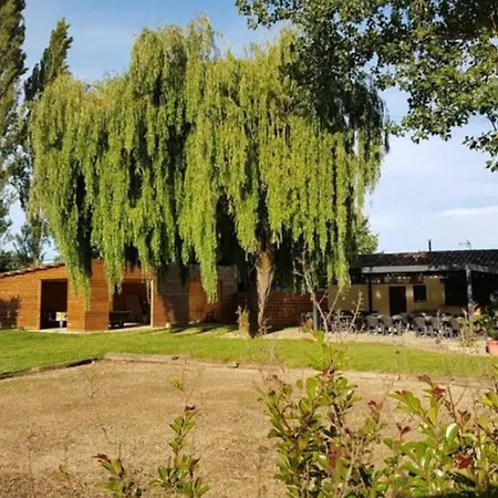 キャンプ場 Sur Pilotis Avec Terrasse Pour 2 Personnes - Api-1-52-293 *