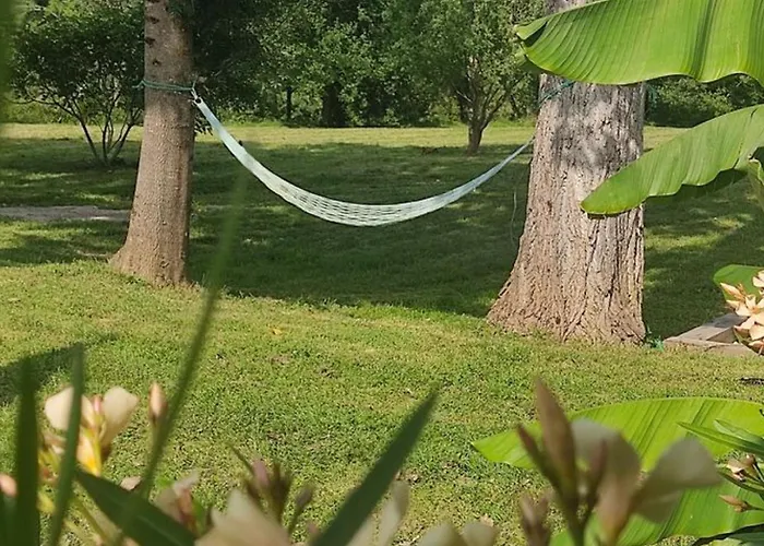 Kemp Sur Pilotis Avec Terrasse Pour 2 Personnes - Api-1-52-293